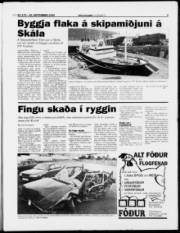 Síða 5