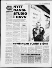 Síða 18