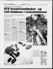 Síða 13