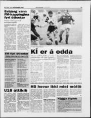 Síða 15