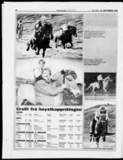 Síða 16