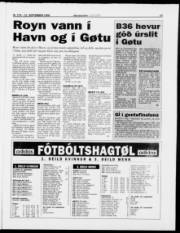 Síða 17