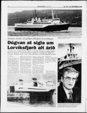 Síða 6
