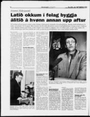 Síða 8