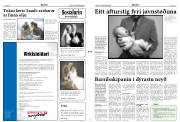 Síða 3