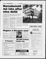 Síða 3