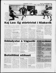 Síða 8