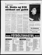 Síða 12