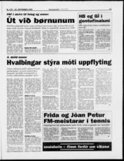 Síða 13