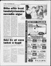Síða 3