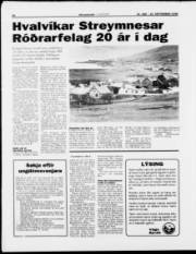 Síða 10