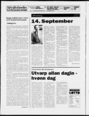 Síða 2
