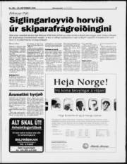 Síða 3