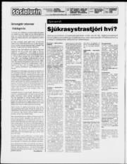 Síða 2