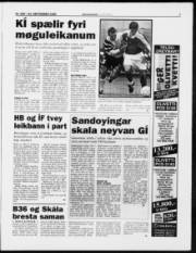 Síða 7