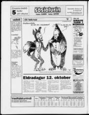 Síða 28
