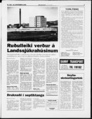 Síða 3