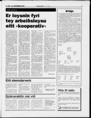 Síða 9