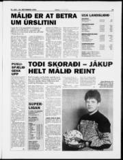 Síða 13