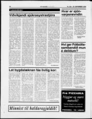 Síða 20