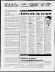 Síða 2