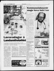 Síða 3