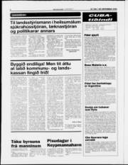 Síða 8