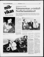 Síða 11