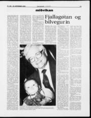Síða 13