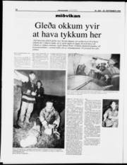 Síða 14