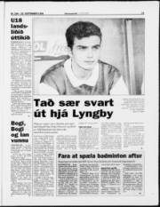 Síða 15