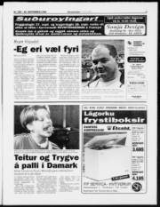 Síða 3