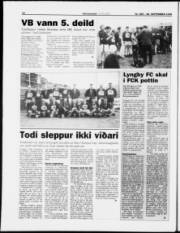 Síða 14