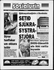 Síða 1