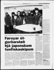 Síða 8