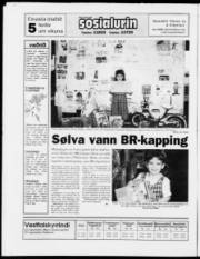 Síða 24