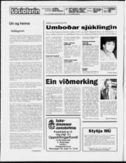 Síða 2