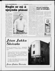 Síða 5