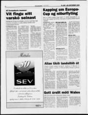 Síða 8