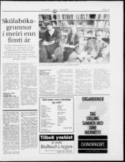 Síða 17
