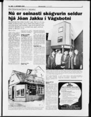 Síða 3