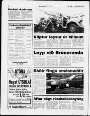 Síða 6