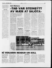 Síða 15