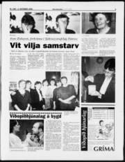 Síða 3