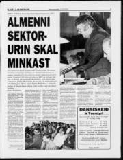 Síða 7