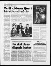 Síða 11
