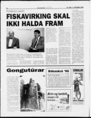 Síða 12
