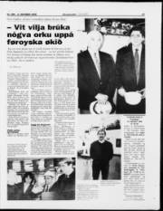 Síða 17