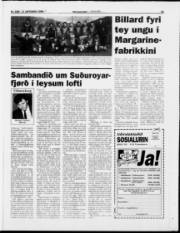 Síða 21