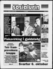 Síða 1